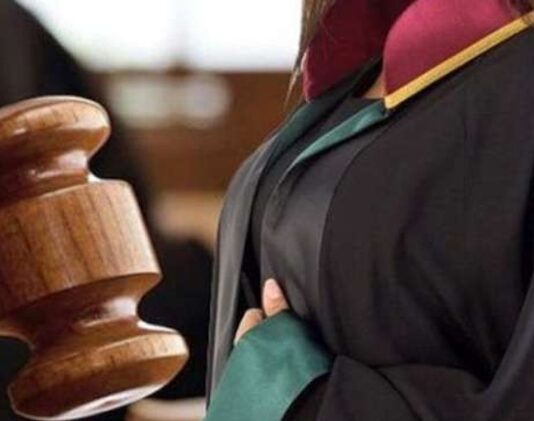 Avukatların Uzmanlık Alanları ve Hukuki Hizmetler